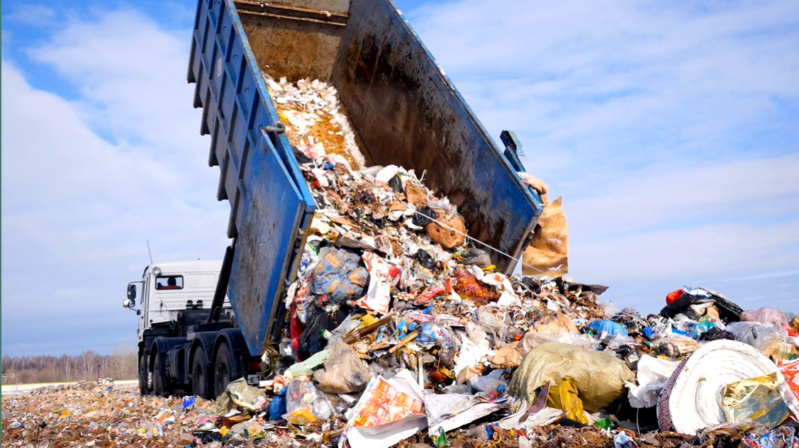 Featured image for “Do You Know the 3 Main Reasons for Food Waste in America?”